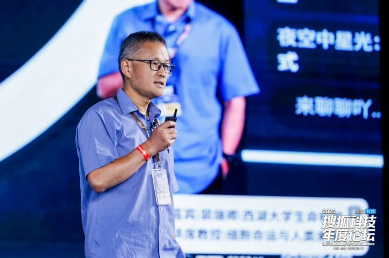 XM外汇官网量化交易平台的将来：你更看好算法智慧还是人类洞察力？